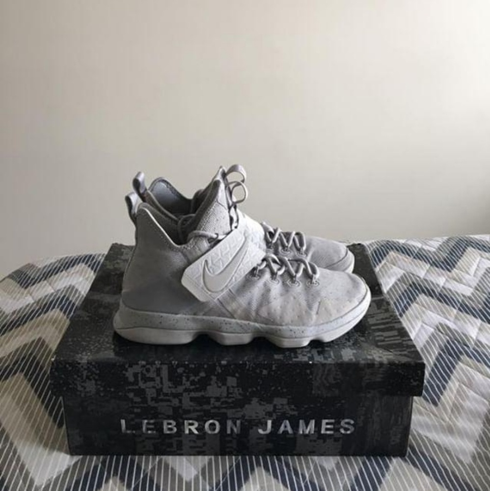 Lebron 14 all grey